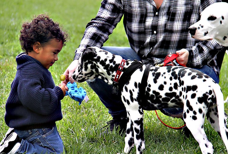 Dalmatian Day at the FASNY Museum of Firefighting is fun for all. Photo courtesy of the museum 