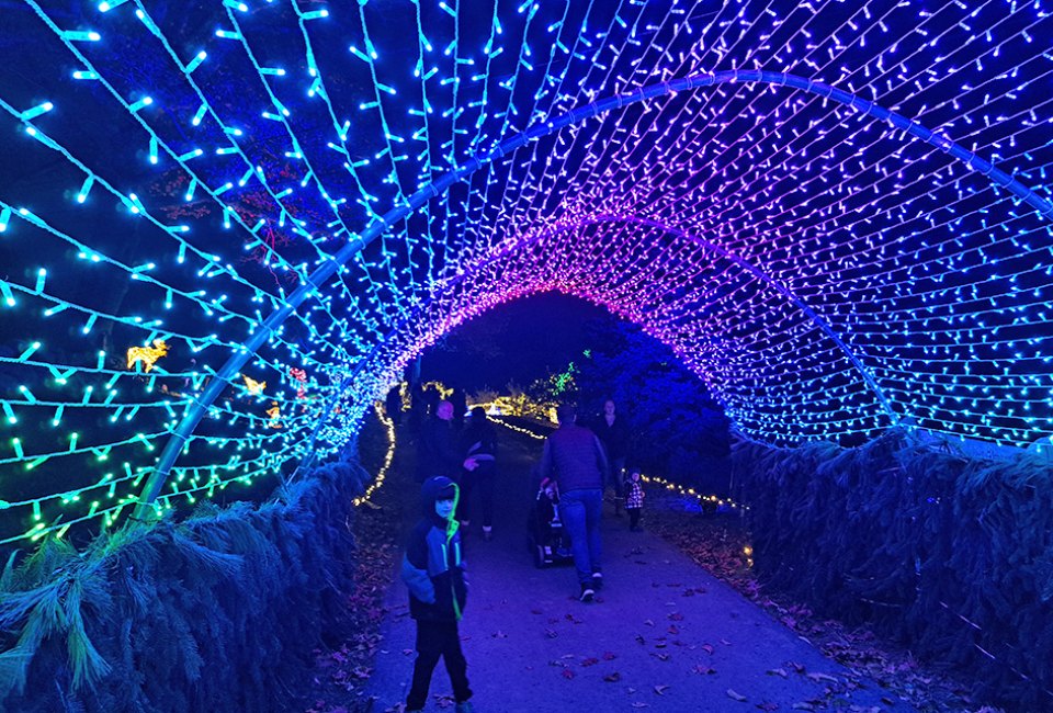 Journey through illuminated tunnels at Lumina - A Magical Lights Experience at Harvest Moon Farm & Orchard.  Photo by the author