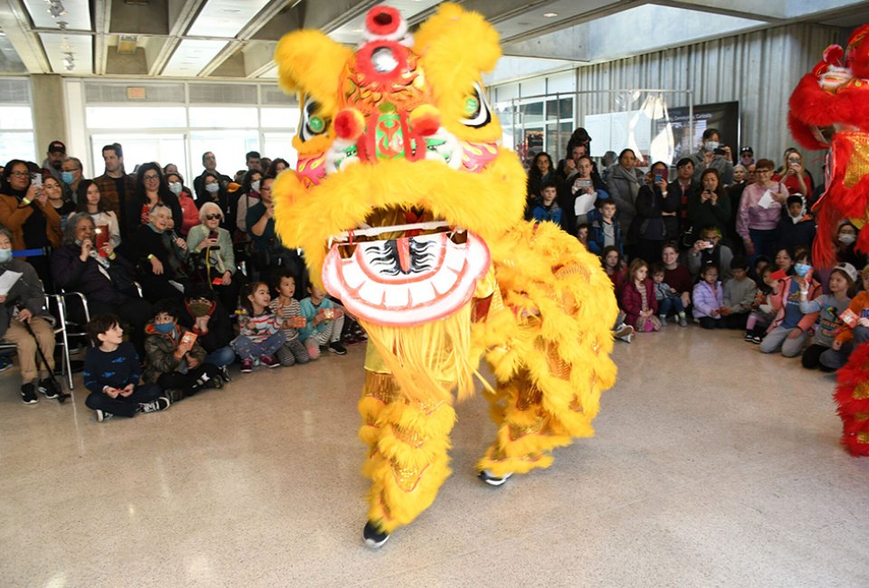 Celebrate the Year of the Snake  at the Hudson River Museum this month.  Photo courtesy of the museum