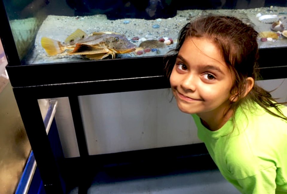 Kids can peek into the marine life in the aquariums at the Marine Education Center in Mamaroneck. Photo by Susan Miele