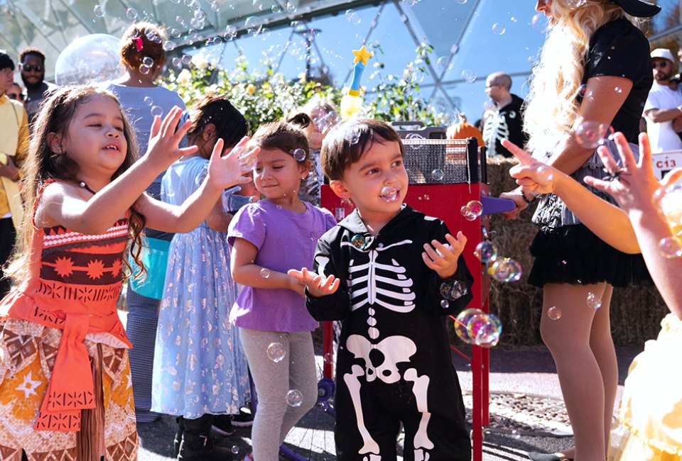 Score treats from participating stores at Ridge Hill Mall's trick-or-treating event. Photo courtesy of Ridge Hill