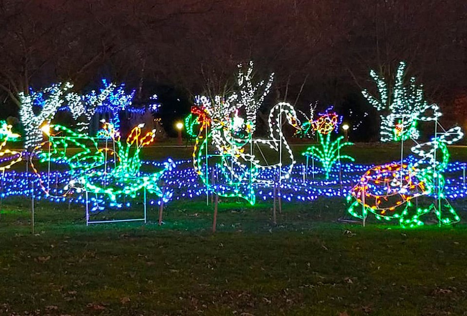 The Orange County Arboretum's Holiday Lights in Bloom is a charming and free light display. Photo courtesy of the arboretum
