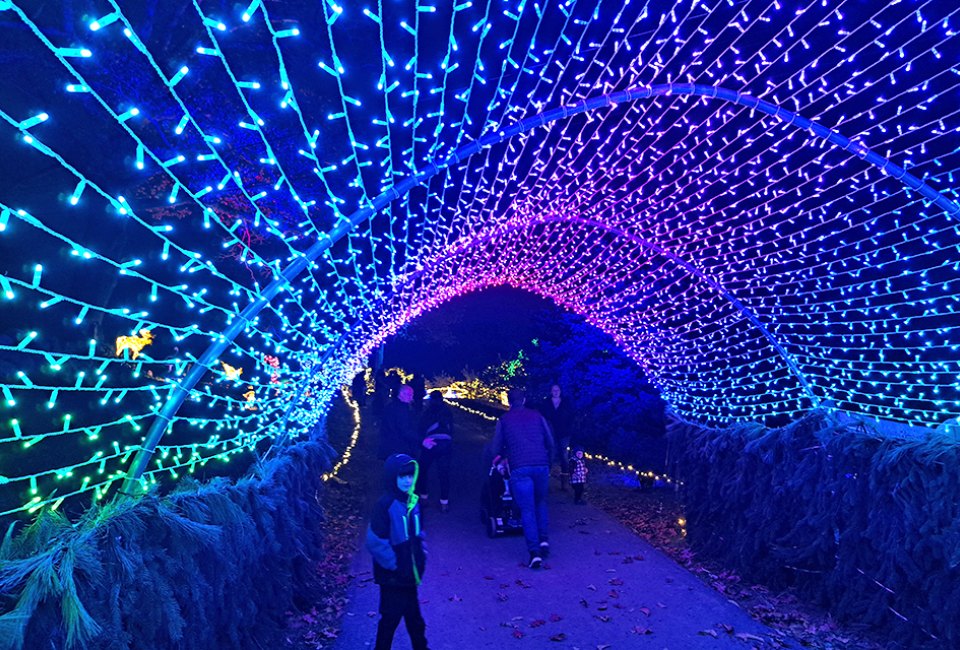 Wander through more than half a million lights at Harvest Moon's Festival of Lights in North Salem. Photo courtesy of the festival