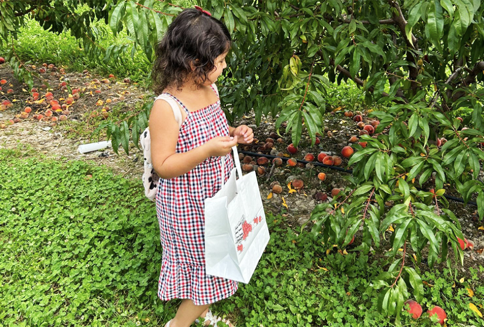 Weed Orchards & Winery is a fifth-generation Hudson Valley farm that blossoms with seasonal activities for families. 