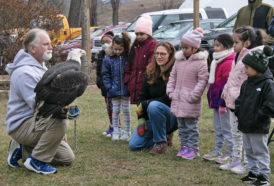 Teatown's Hudson River EagleFest includes thrilling live bird shows, crafts, and games. Photo courtesy of Teatown