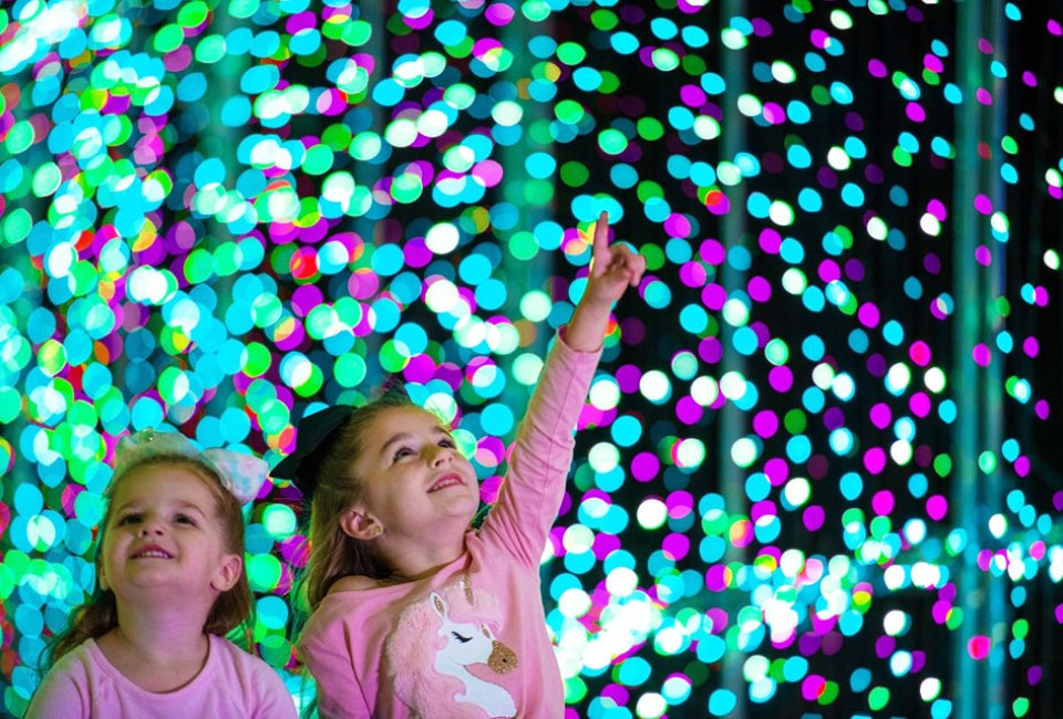 Visit the  spectacular Wonderland of Lights in Rhinebeck. Photo courtesy of the event 