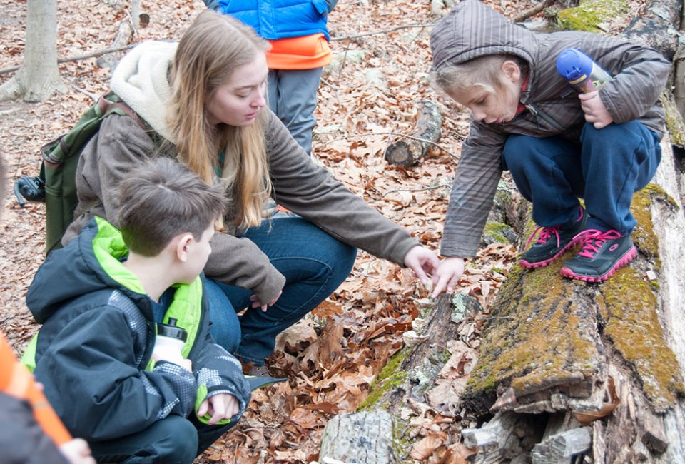 Best of January: 18 Top Things To Do in Westchester with Kids Teatown Lake Reservation holds winter workshops for kids and families. Photo courtesy of the reservation