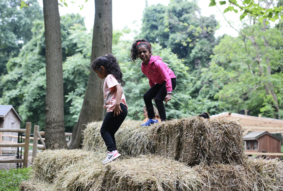 Run wild at the forest obstacle course at Greenburgh Nature Center this fall. Photo courtesy of the center