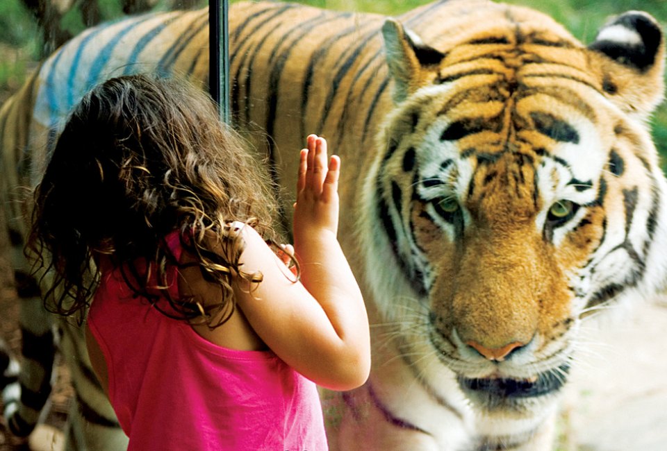 Enjoy a  wild visit to the Philadelphia Zoo during a weekend getaway to the City of Brotherly Love. Photo courtesy of the zoo