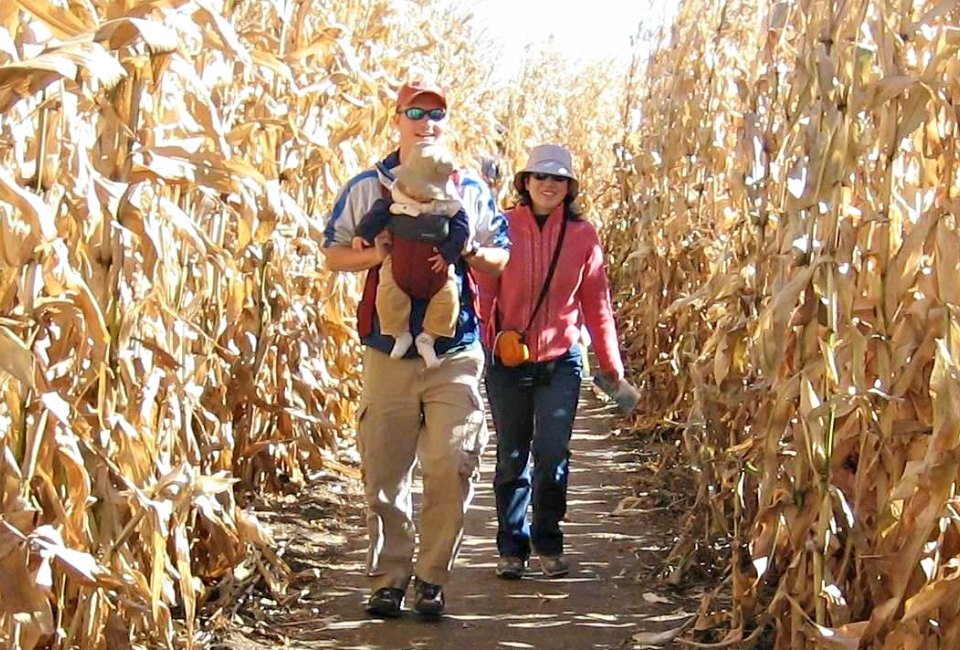 It's the final week for most corn mazes, so get out there while they're still open!  Photo courtesy of West End Creamery 