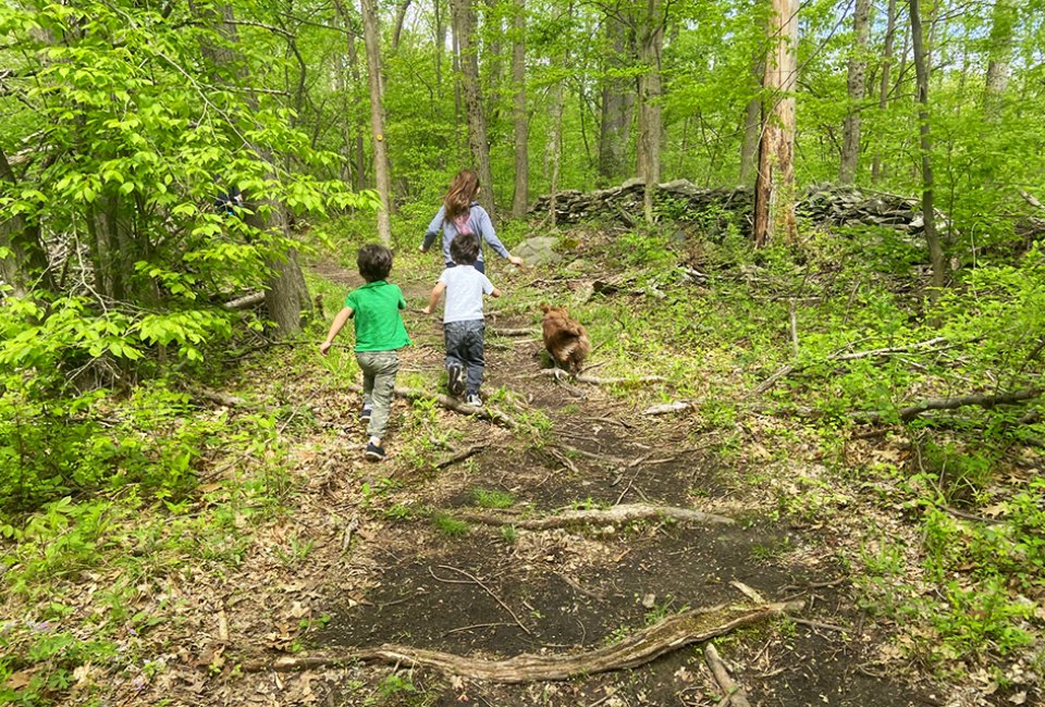 Little ones love to stretch their legs on the trails and explore nature all around. Photo by Sara M.