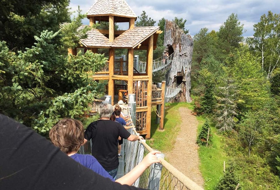 Take a Wild Walk at Tupper Lake's Wild Center for a completely new view of New York state's forest. Photo by Mommy Poppins