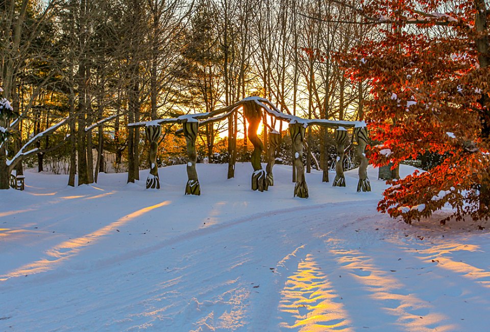 See the snow-covered sculptures at New Jersey's Grounds for Sculpture on a winter day trip. Photo courtesy of the Grounds for Sculpture
