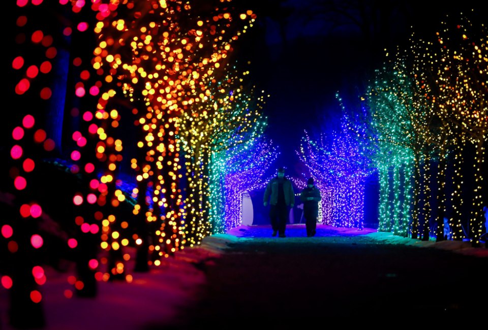 Make the season bright with best holiday lights drive-thrus and Christmas light shows in Boston! Naumkeag Winterlights photo by Stephanie Zollshan Photography, courtesy of The Trustees of Reservations 