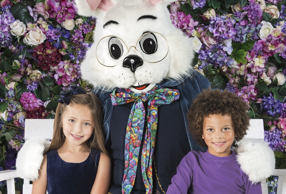 Hop to It!  It's time for Easter Bunny pictures near Chicago at Woodfield Mall. Photo courtesy of the mall