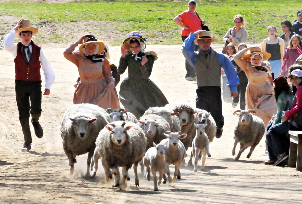 Wool Days fun is afoot this weekend! Photo courtesy of Old Sturbridge Village 