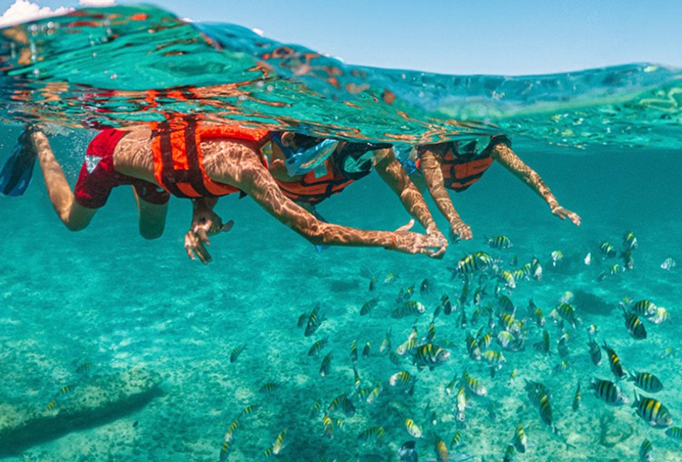 With lush reefs and crystal-clear waters,  Xcaret is a fabulous place to snorkel. Photo courtesy of Xcaret Parks