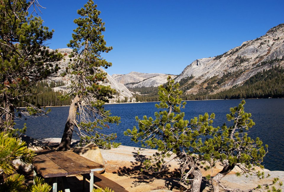 The gorgeous wide-open spaces of Yosemite National Park reopened to visitors with restrictions. Photo courtesy of NPS