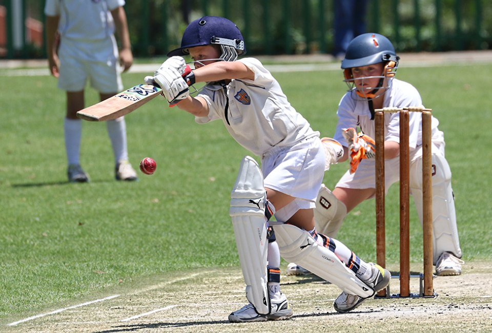 Cricket is gaining popularity in the US. Photo by Patrick Case