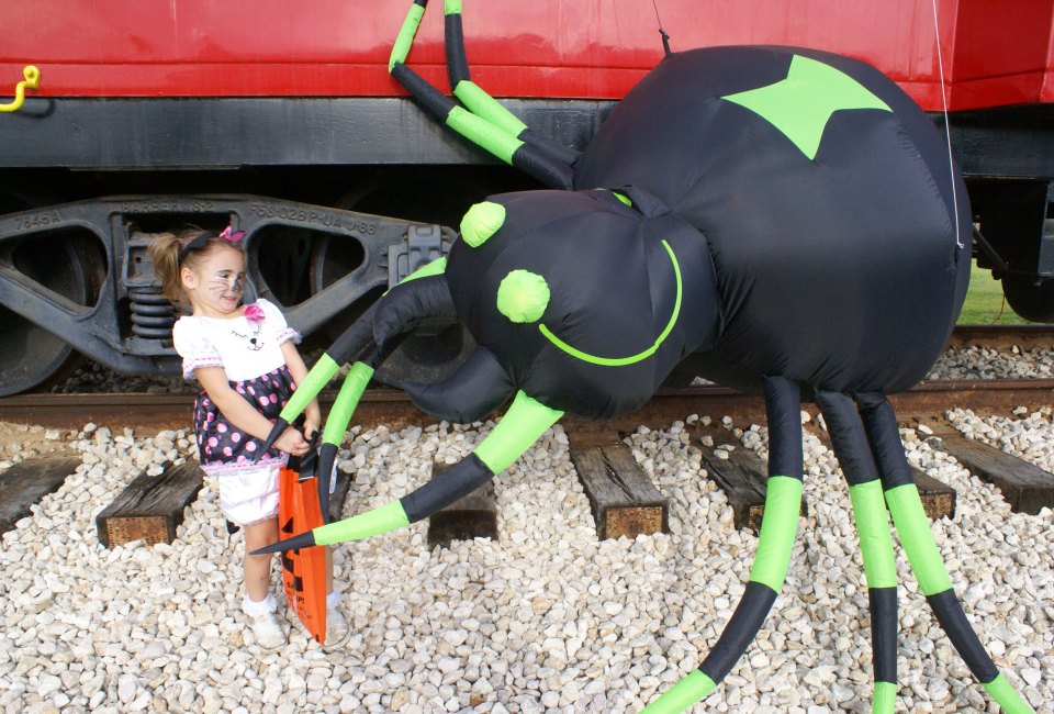 Zomball in Tomball! Photo courtesy the City of Tomball.