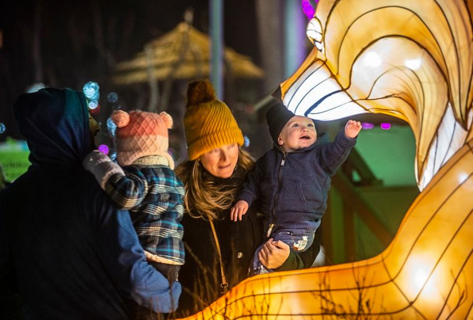 Boston's zoos will be aglow with seasonal fun as the top Christmas events and holiday activities come to town for 2023! Zoo Lights event photo courtesy of the Stone Zoo.