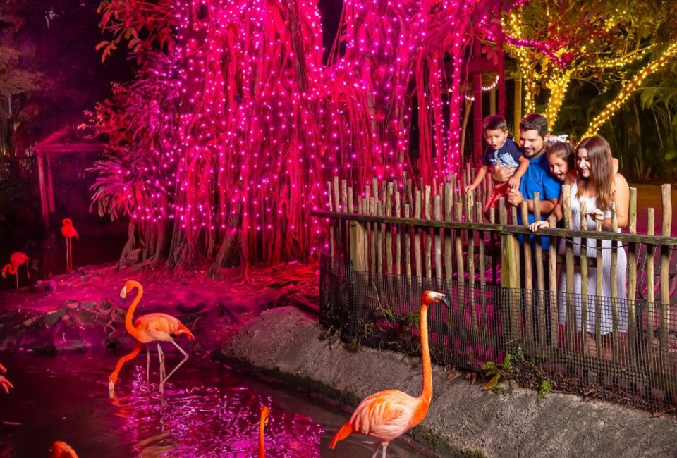See animals glow under the twinkling holiday lights at Zoo Lights at Palm Beach Zoo! Photo courtesy of Palm Beach Zoo 